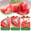 Watermelon Slicer Cutter Tool with Sharp Blades, 1 pc 6