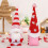 Valentine's Day Tomte Gnome Plush Ornament Handmade 5