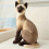 Siamese Cat Plush Toy Soft 25 cm for Kids 3+ 2
