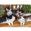 3D Cat Throw Pillow for Kids and Cat Lovers 7