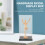Acrylic Rectangular Display Box 1 Piece 11.4 x 6.5 x 5.3 2