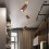 Walnut Wood LED Ceiling Spotlights Fixed Track Rotatable 6
