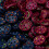 Sewing Buttons Red 5/8 Inch 50-Piece 5