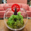 Red plastic wheel prop for fish tank and small pond 8