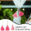 Mini Tassels Craft Decor Pink Rose Red Green 2 Pcs 6