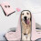 Microfiber Dog Towel Pink 31.5"x15.8" 8