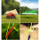 Glow-in-the-Dark Tent Rope 4mm 50m 5