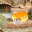 Critter Bath for Chinchilla Small Animal Nesting Accessory 7
