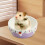 Gamelle pour hamster et furet 7