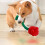 Rose-Shaped Squeaky Crinkle Dog Toy 1 Pack 8
