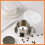 Percolator Coffee Filters Natural Unbleached 300 Count 4