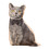 Pet-Shaped Pillow 19.7 Inch Simulated Design 2