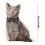 Pet-Shaped Pillow 19.7 Inch Simulated Design 3
