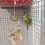 Rattan Parrot Toy Assorted Colors 15.5 Inch 6