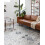 Oriental area rug silver grey 3
