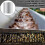 Mesh Aluminum Gutter Guard Covers Screen Protection For Diy Cutting Leaf Rain 150*6.1 4