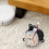 P20 Robot Vacuum Brush Motor Left or Right Side 8