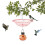 Outdoor Bird Bath and Feeder - Windproof Rainproof with 8