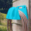 Weed Puller and Hose Rack Blue 22.5 cm 6