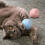 Smart Rolling Cat Toy Ball Auto-Moving USB Rechargeable 1 5