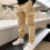 Boys Casual Cotton Cargo Pants 2-Pack Elastic Waist 6