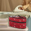Travel Iron Storage Case Lightweight Snowflake Design Bag 2