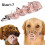 Adjustable Plastic Dog Muzzle Breathable Basket Small to 3