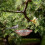 Hanging Bird Bath Outdoor Plastic Garden Decor 1 Pack Red 8