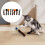 Halloween Cat Spring Toy Decorative Teaser Set 8pcs 2