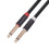 Stereo Audio Interconnect Cable Dual 1/4" TS to Dual RCA 4