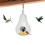 Bird Feeder with Camera 1080P WiFi Night Vision 4