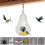 Bird Feeder with Camera 1080P WiFi Night Vision 5
