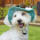 Dog Hat Adjustable Drawstring Sun Protection for Small Medium Large Dogs Outdoor M Grreen 7