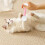 Cat Teething Chew Toy with Catnip Pink 1PC 2
