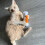 Cat Teething Chew Toy with Catnip Pink 1PC 4