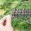 BBQ Grill Brush Stainless Steel Long Handle Triangle 1 Pack 4