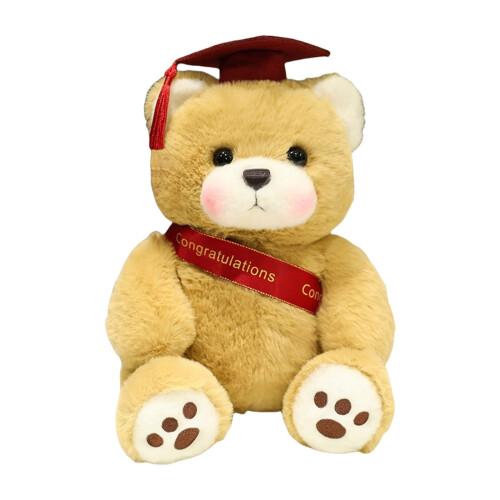 Urso de Pelúcia Doutor Formatura 25 cm 1