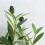 Artificial Olive Branches 18 Inch 5