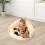 Camas de tecido para cães e gatos com postes para arranhar e protetores de garras laváveis. 6