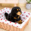 Tibetan Mastiff Stuffed Mascot Soft Decoration 4 7