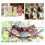 Fabric Strips Roll Multi-Color 2.5 Inch 72 Pieces (2 Rolls) 3