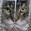 Chaussettes à motif chat, impression 3D réaliste, 1 paire 7