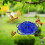 Circular Glass Hummingbird Feeder Bee Squirrel Proof Ant 4