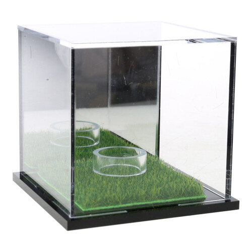 Acrylic golf ball display case square clear stand 2