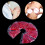 Breast Therapy Pad Gel Pack for Hot Cold Therapy 3