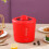 Mini bouilloire électrique portable multifonctionnelle 1L 450W 2