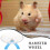ibasenice stille hamster loopwiel hemelsblauw 3