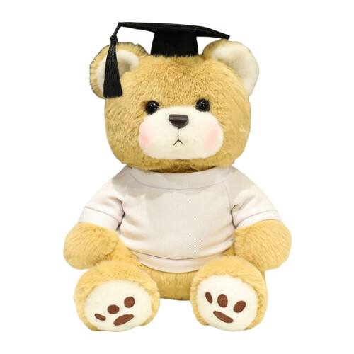Graduation Bear Plush Toy Brown 10 inch 1