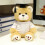 Graduation Bear Plush Toy Brown 10 inch 4
