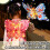 Butterfly Lantern Kit for Chinese New Year – DIY 7